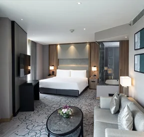 Spacious Studio Suites