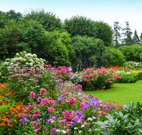 Ekamra Kanan Botanical Gardens